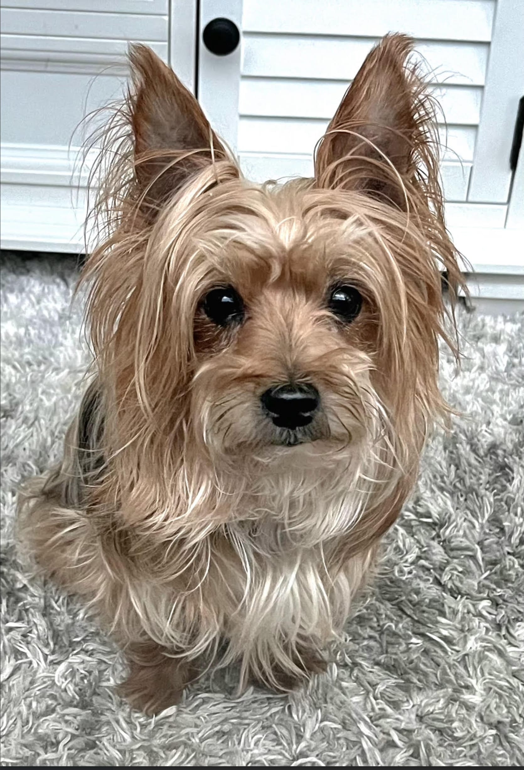 Jax - A1 Shipping & Printing Team Member